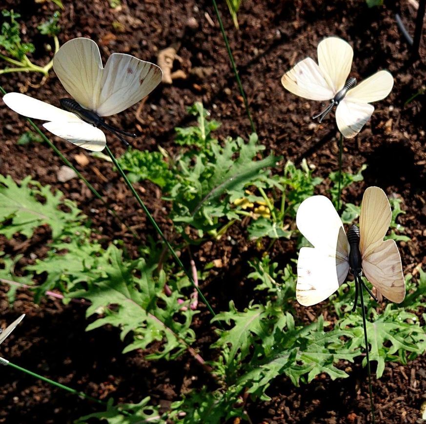 Decoy White Butterflies 6pk