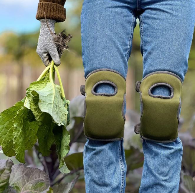 Knee Pads