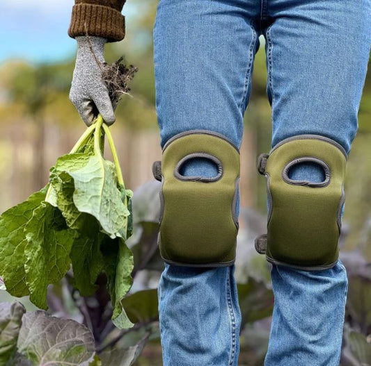 Knee Pads