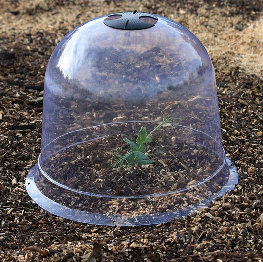 Small Bell Cloche 3pk