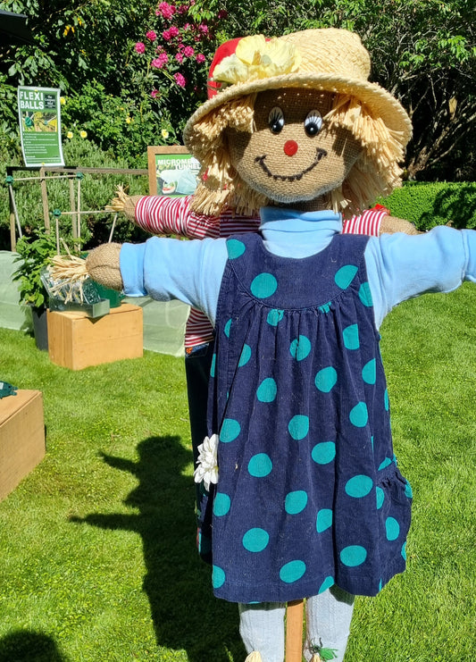 Scarecrows - available only in Christchurch