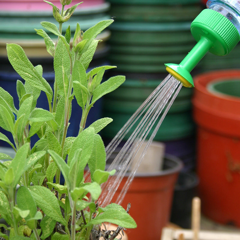 Bottletop Waterer - 3 Pack