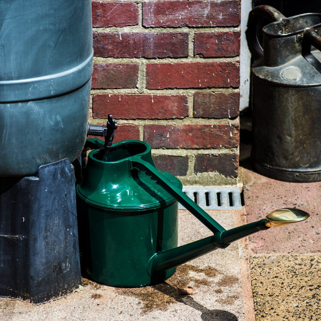 Deluxe Plastic Outdoor Watering Can