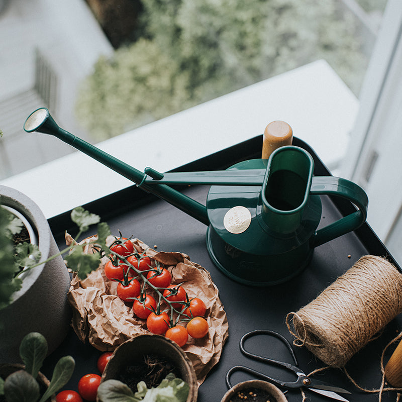 Langley Sprinkler Watering Can