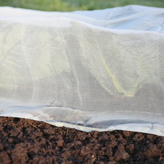 Giant Micromesh Tunnel