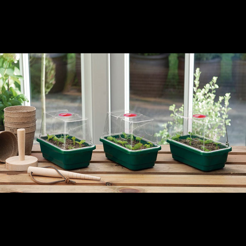 Mini High Dome Propagator 3pk