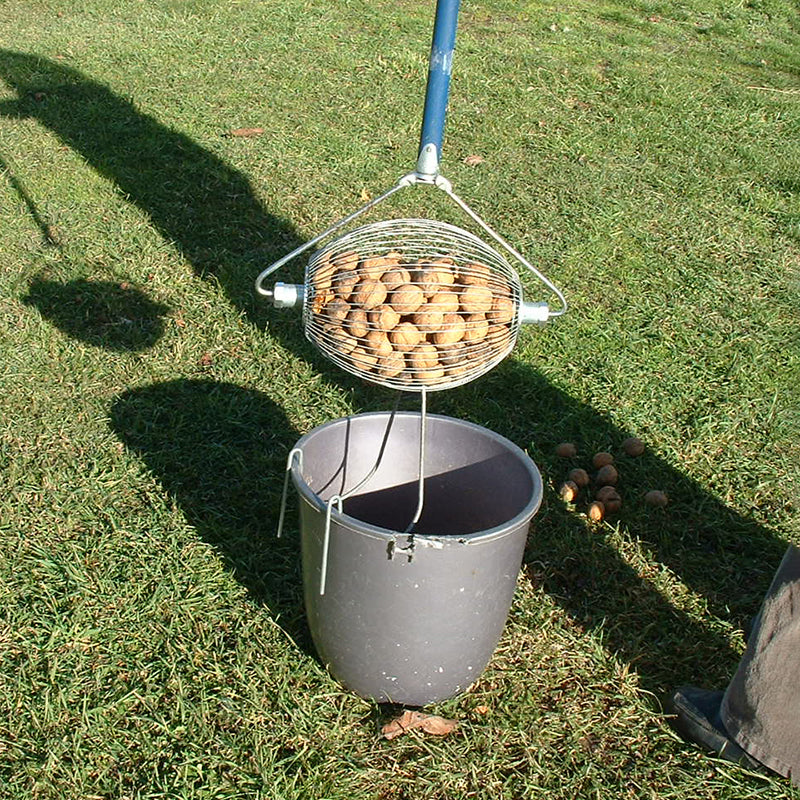 Hazelnut Nut Harvester