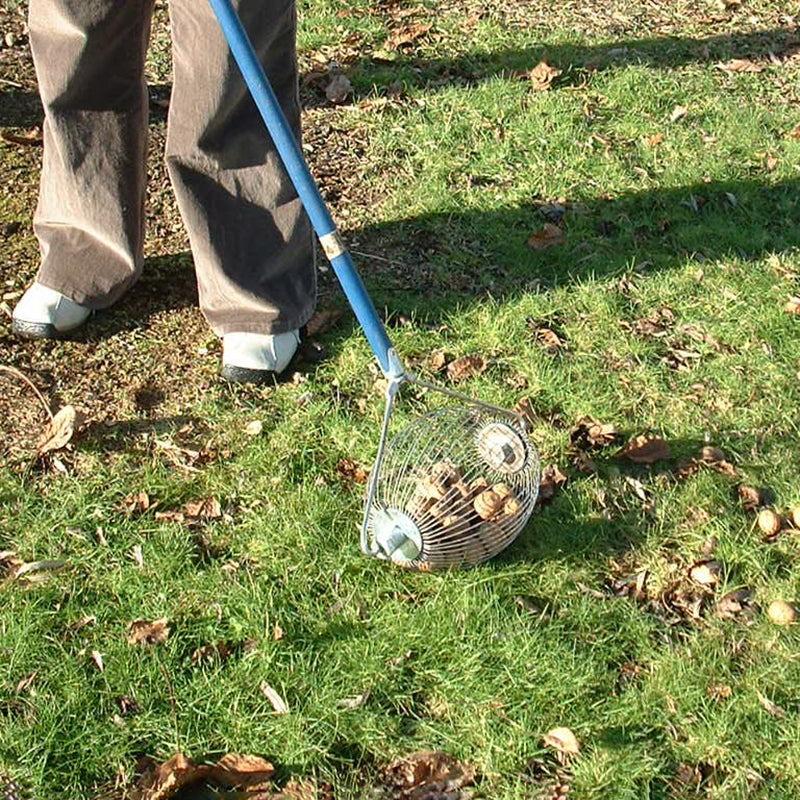 Walnut Harvester