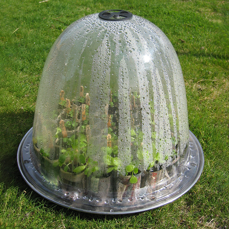 Original Bell Cloche 3pk x 2