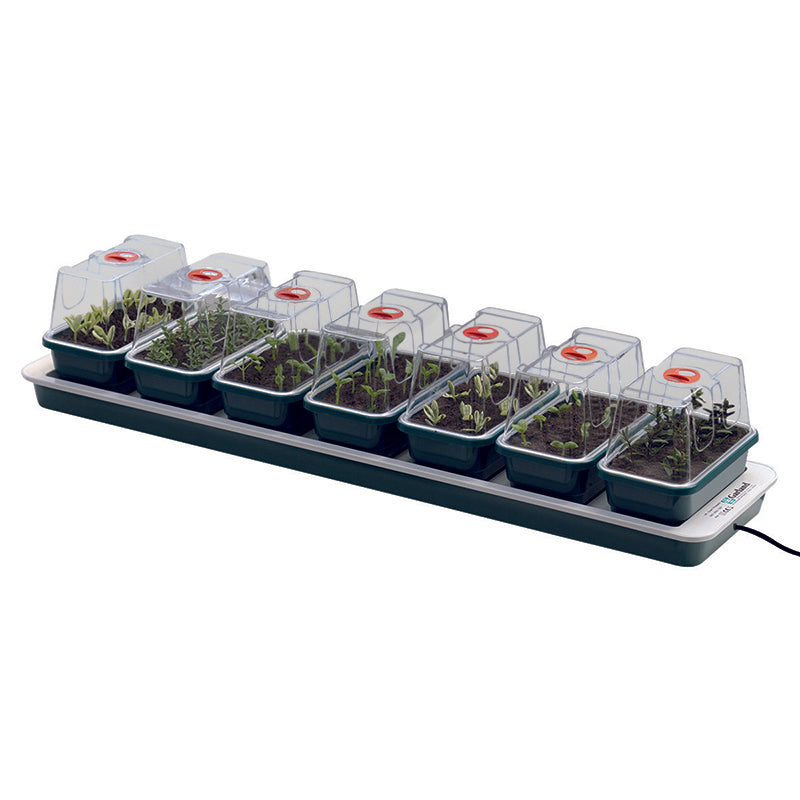 Super 7 Electric Windowsill Propagator