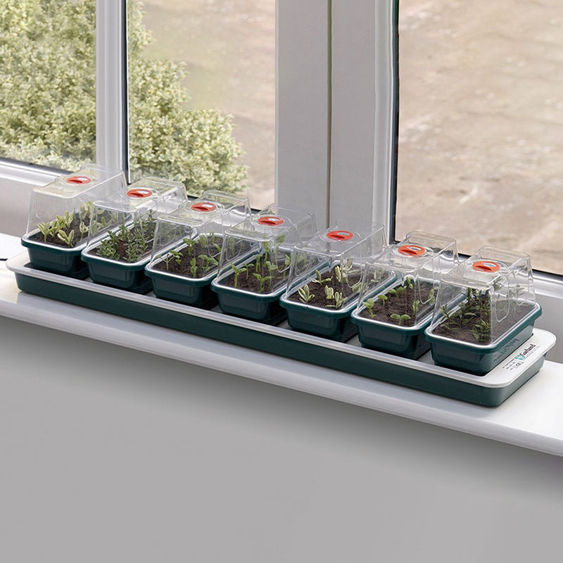 Super 7 Electric Windowsill Propagator