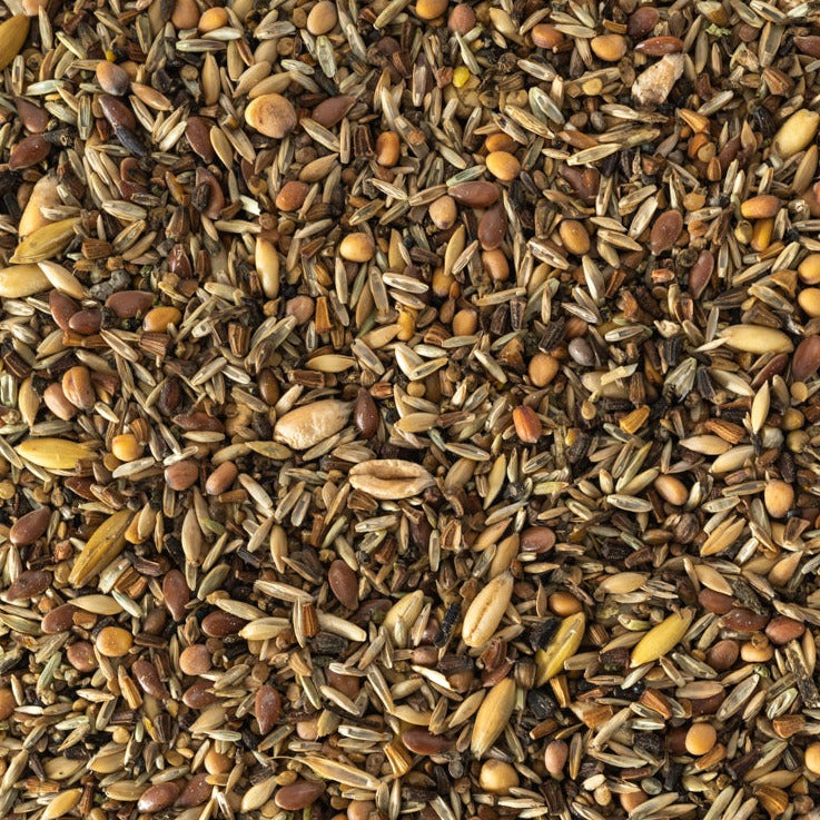 Wild Bird Seed