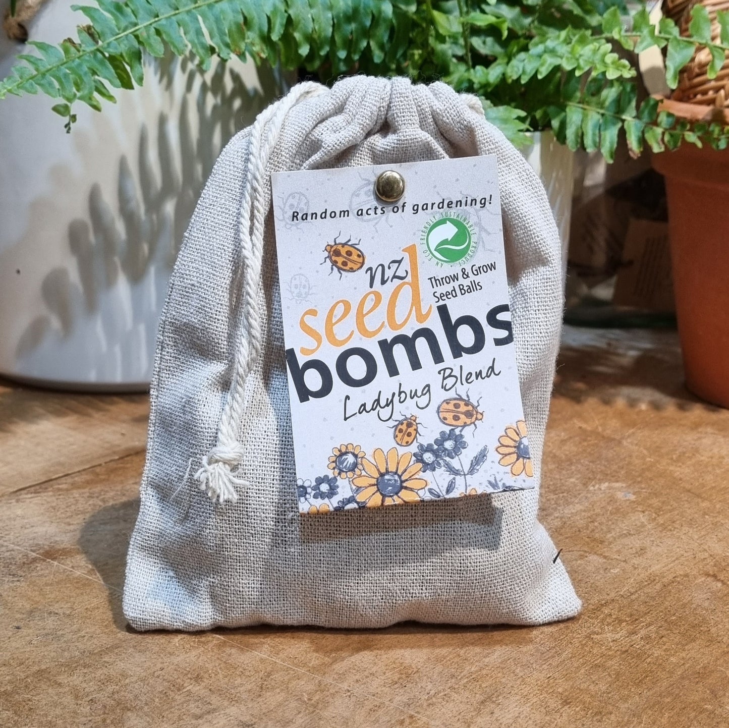 Seed Bombs