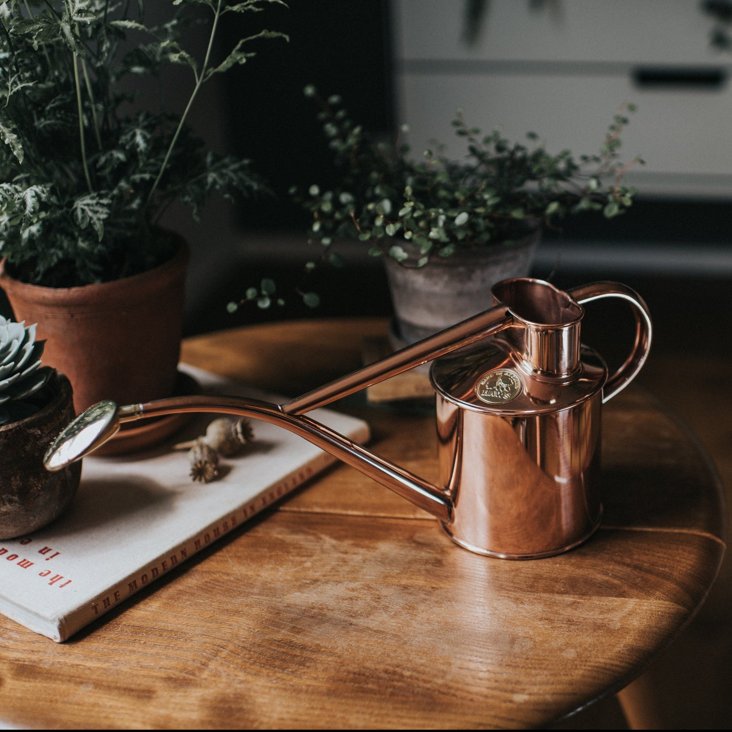 Copper Watering Can