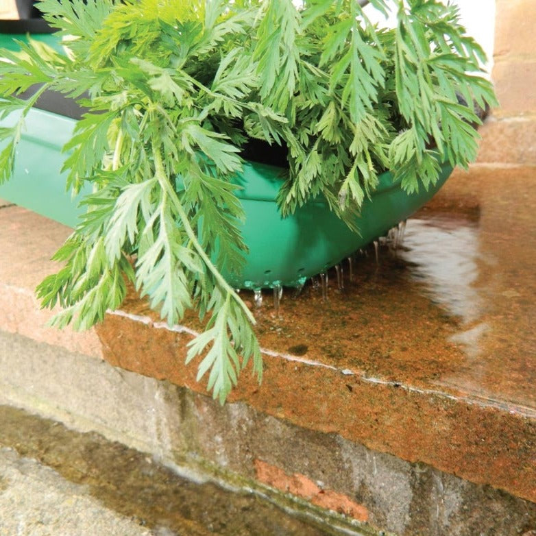 Colander-Trug