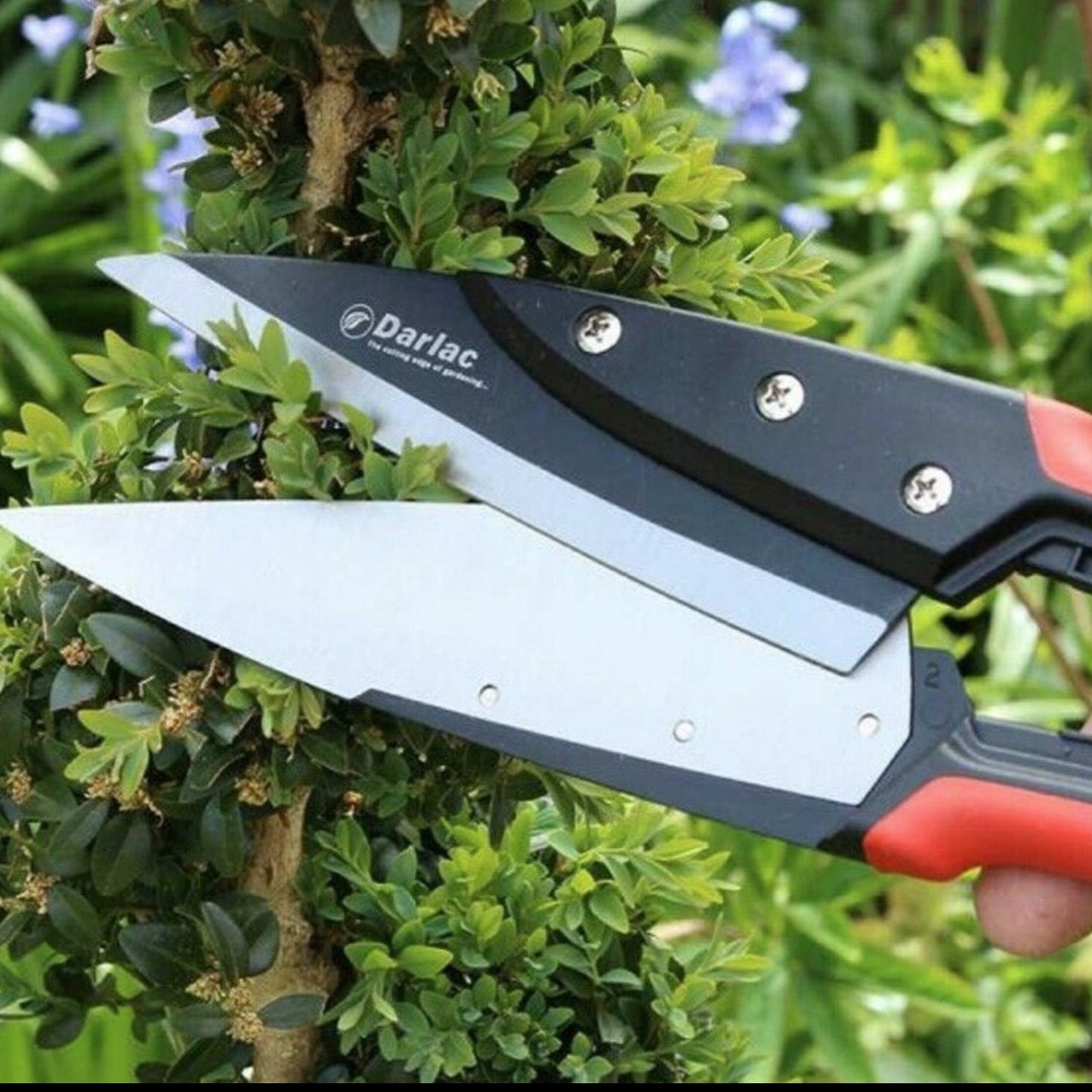 Expert Topiary Shears