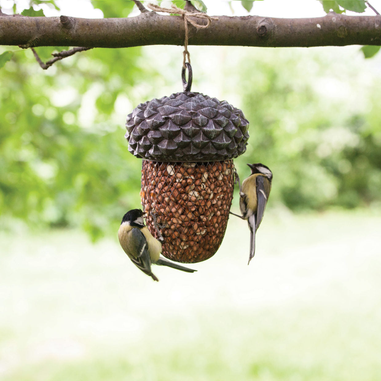 Acorn Feeder