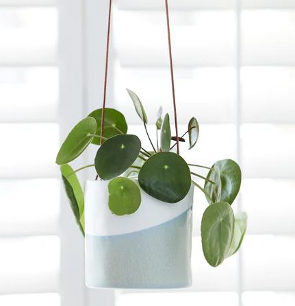 Hanging Pot