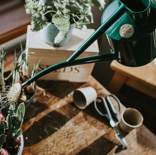 Haws 1L Indoor Metal Watering Can