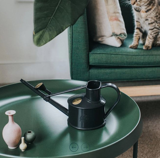 Langley Sprinkler Watering Can