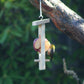 Wooden Apple Feeder