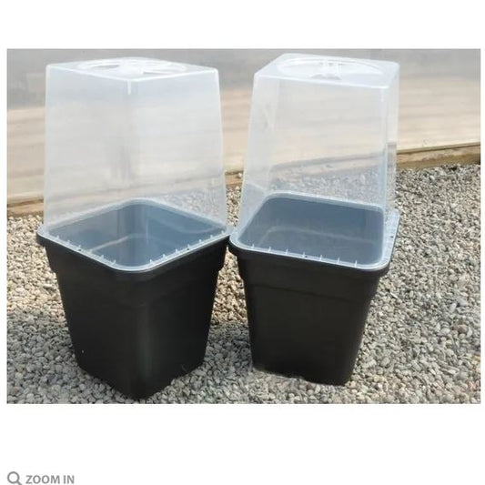 Square Cloche - Cloche only(excludes pot)