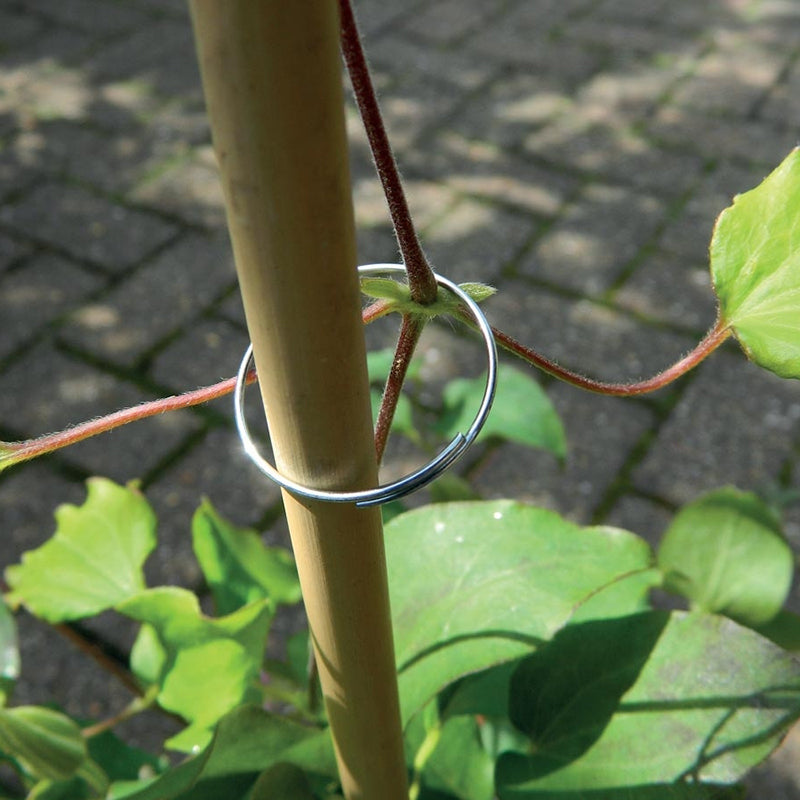 Galvanised Plant Rings