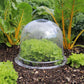 Small Bell Cloche 3pk