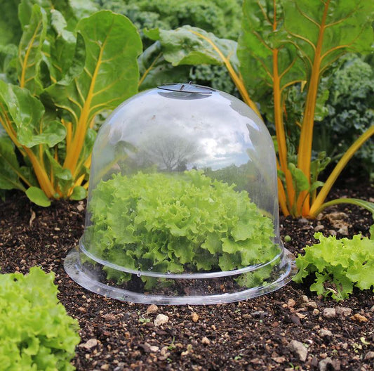 Small Bell Cloche 3pk
