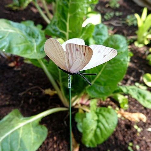 Decoy White Butterflies 6pk