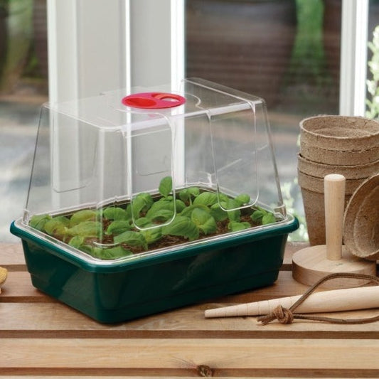 Mini High Dome Propagator 3pk