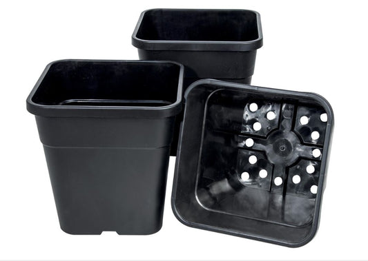 Square Pots 11L - 3pk (use with square cloches)