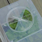 Square Cloche - Cloche only(excludes pot)