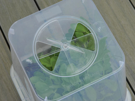 Square Cloche - Cloche only(excludes pot)