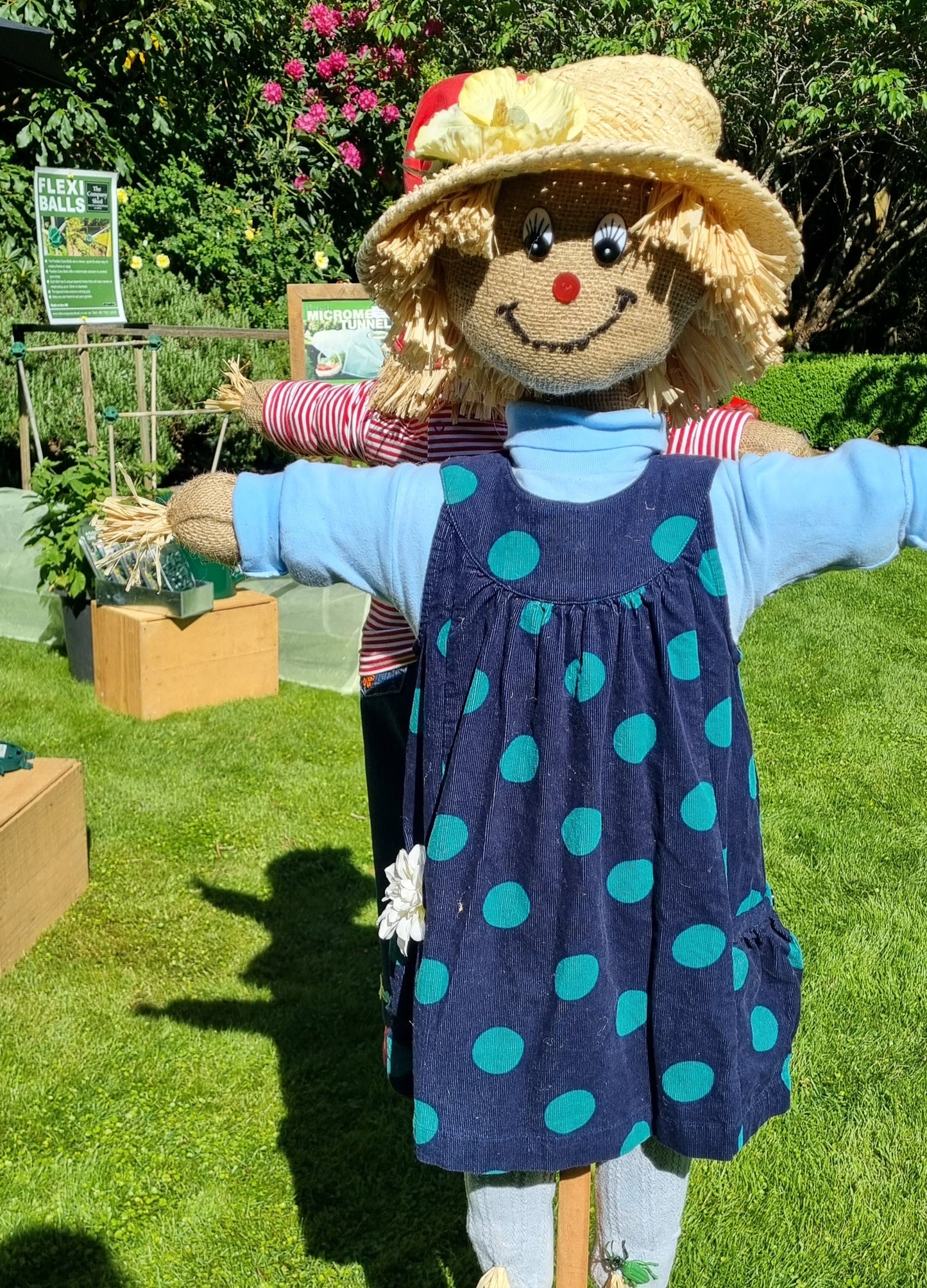 Scarecrows - available only in Christchurch