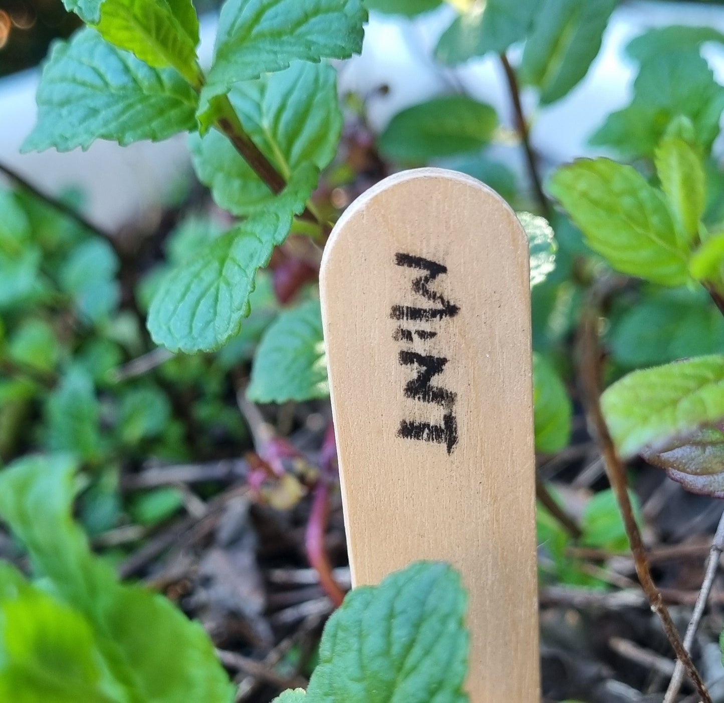Permanent Wax Pencil