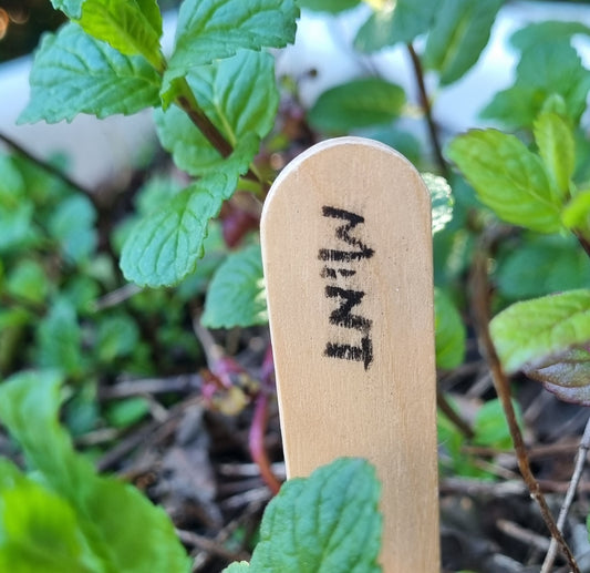 Permanent Wax Pencil