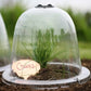 Baby Bell Cloche 3pk