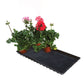 Capillary-Watering Tray with Matting