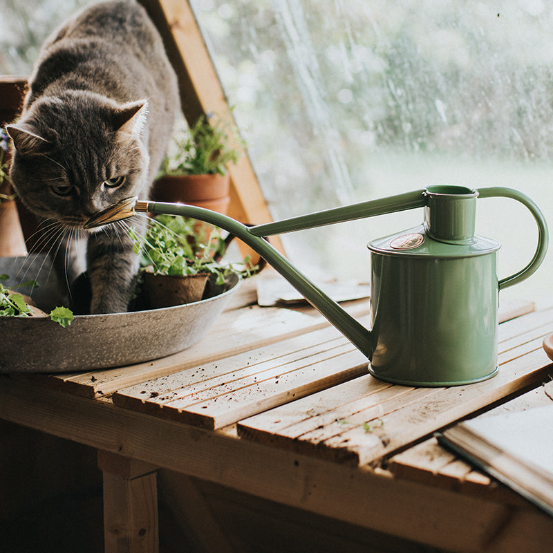 Haws 1L Indoor Metal Watering Can