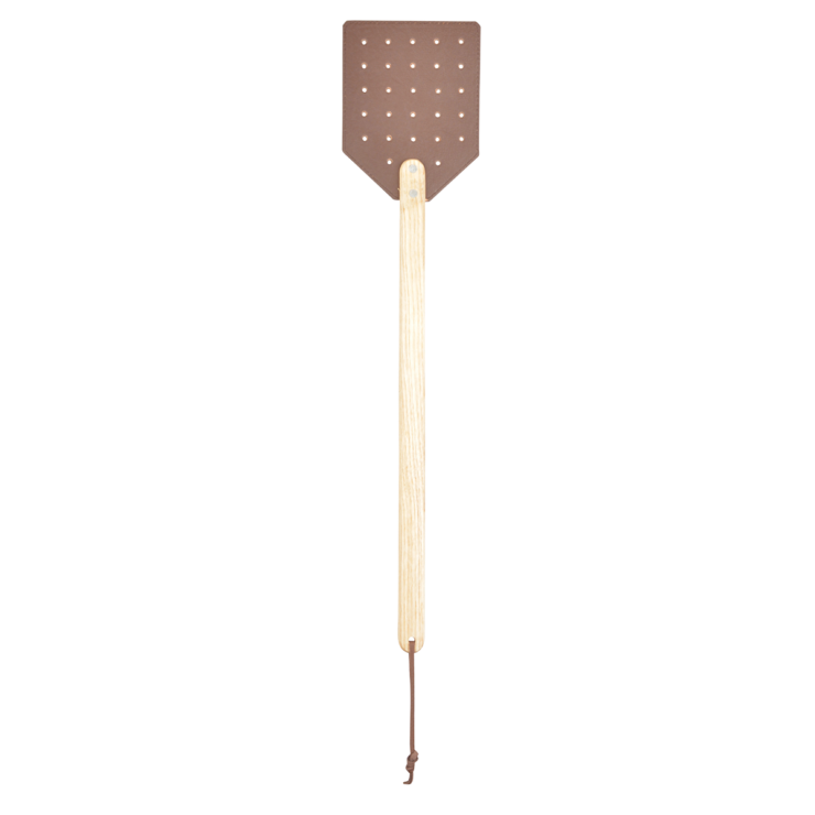 Fly Swat