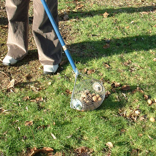 Hazelnut Nut Harvester