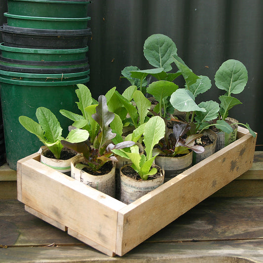 Seedling Potter Set