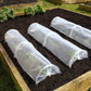 Seedling Tunnel 3pk