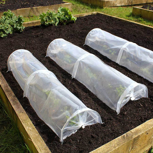 Seedling Tunnel 3pk