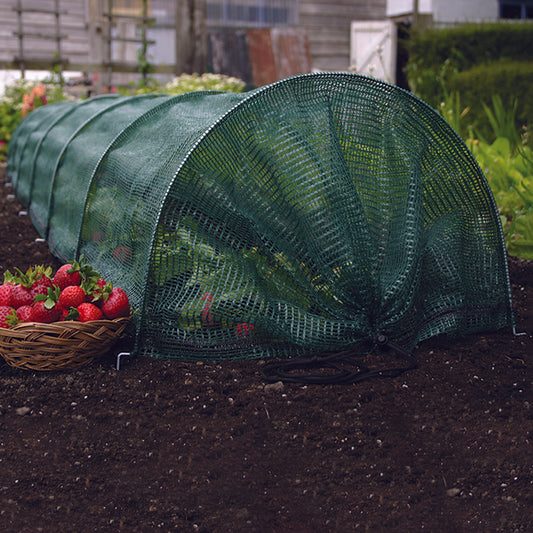 Easy Net Tunnel
