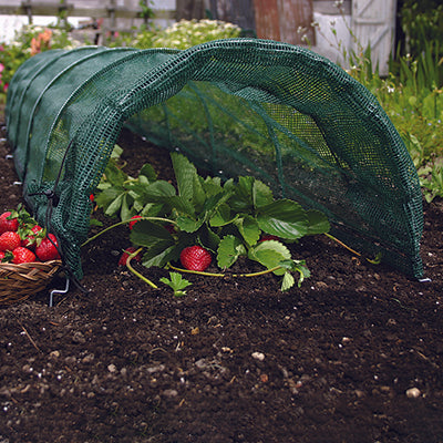 Easy Net Tunnel