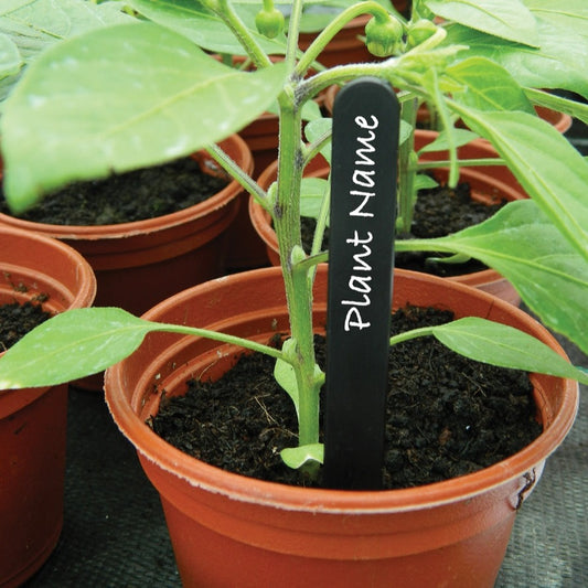Black Plant Labels 15cm x 50