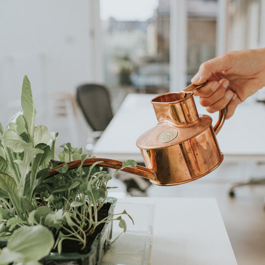 Copper Pot Waterer