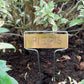 Copper Tee Labels x 5